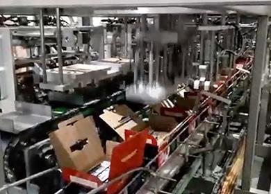 沛愉企業(yè)-利樂鉆禮盒裝箱機
